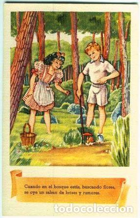 Postales: Cuando en el bosque est&aacute;s - Foto 1