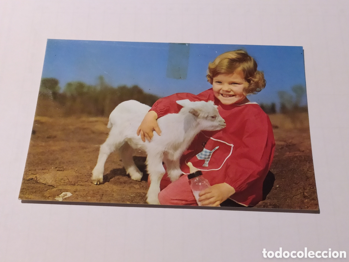 Postales: ED. CyZ 7900 - C - CIRCULADA - Foto 1