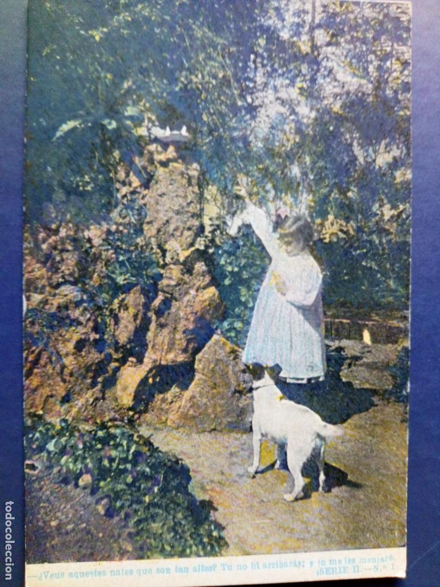 Postales: ANTIGUA POSTAL COLOREADA, - Foto 1