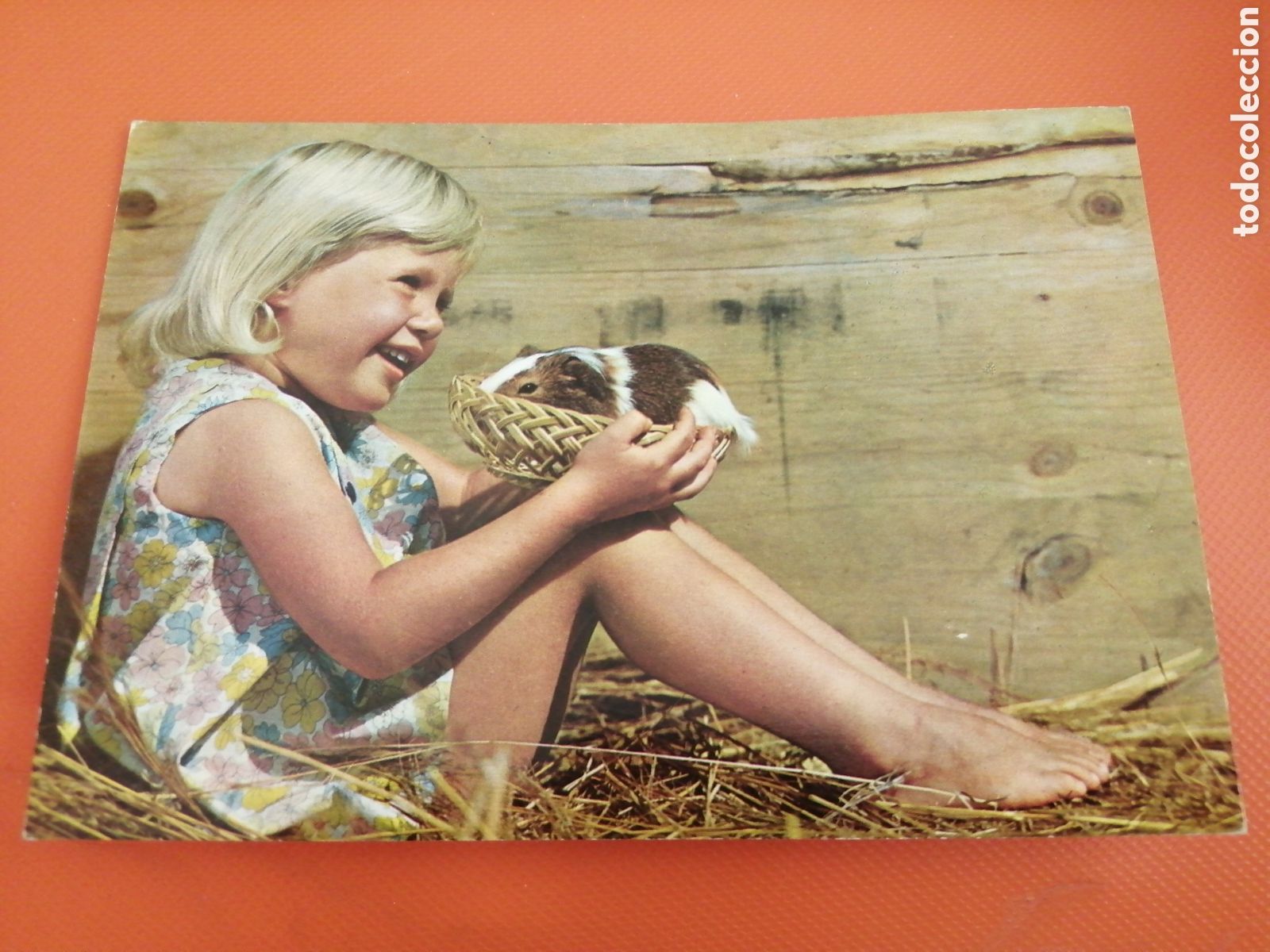 Postales: POSTAL NI&Ntilde;OS 1970 - Foto 1