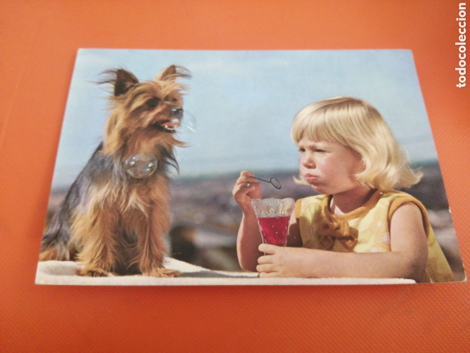 Postkarten: POSTAL NI&Ntilde;OS, ANIMALES, A&Ntilde;OS 70