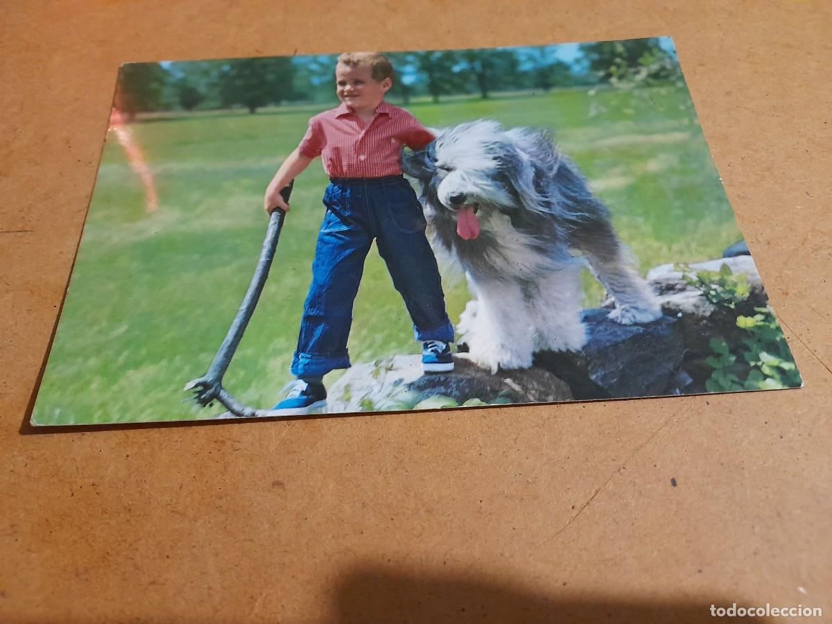 Postales: Ni&ntilde;o con perro 1965 - Foto 1
