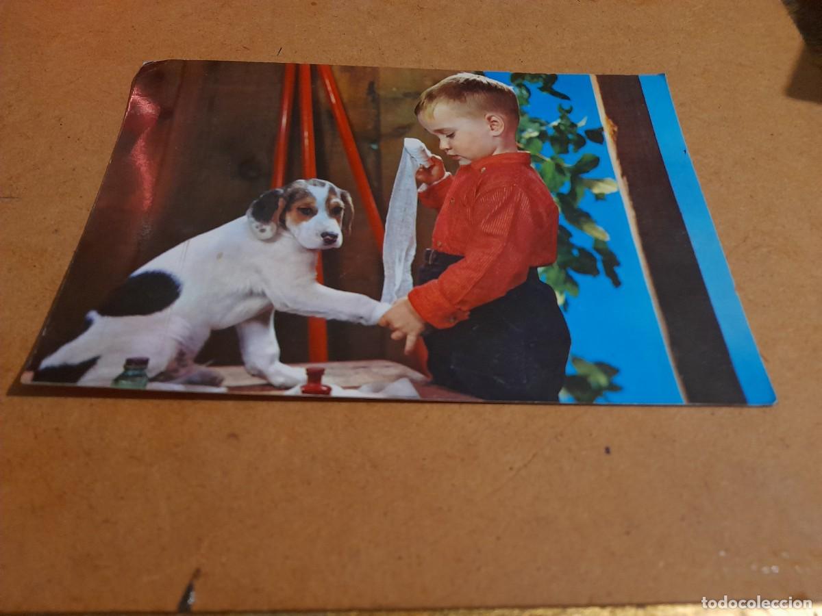 Postales: Ni&ntilde;o con perro d&eacute;cada de los 60 - Foto 1