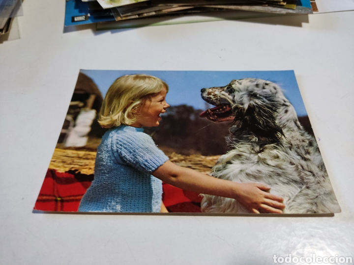 Postales: Postal ni&ntilde;a perro - Foto 1