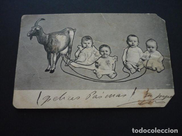 Postales: NI&Ntilde;OS CON CABRA POSTAL - Foto 1