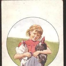 Postales: NIÑA CON GALLINA Y GALLO - CIRCULADA AÑO 1908