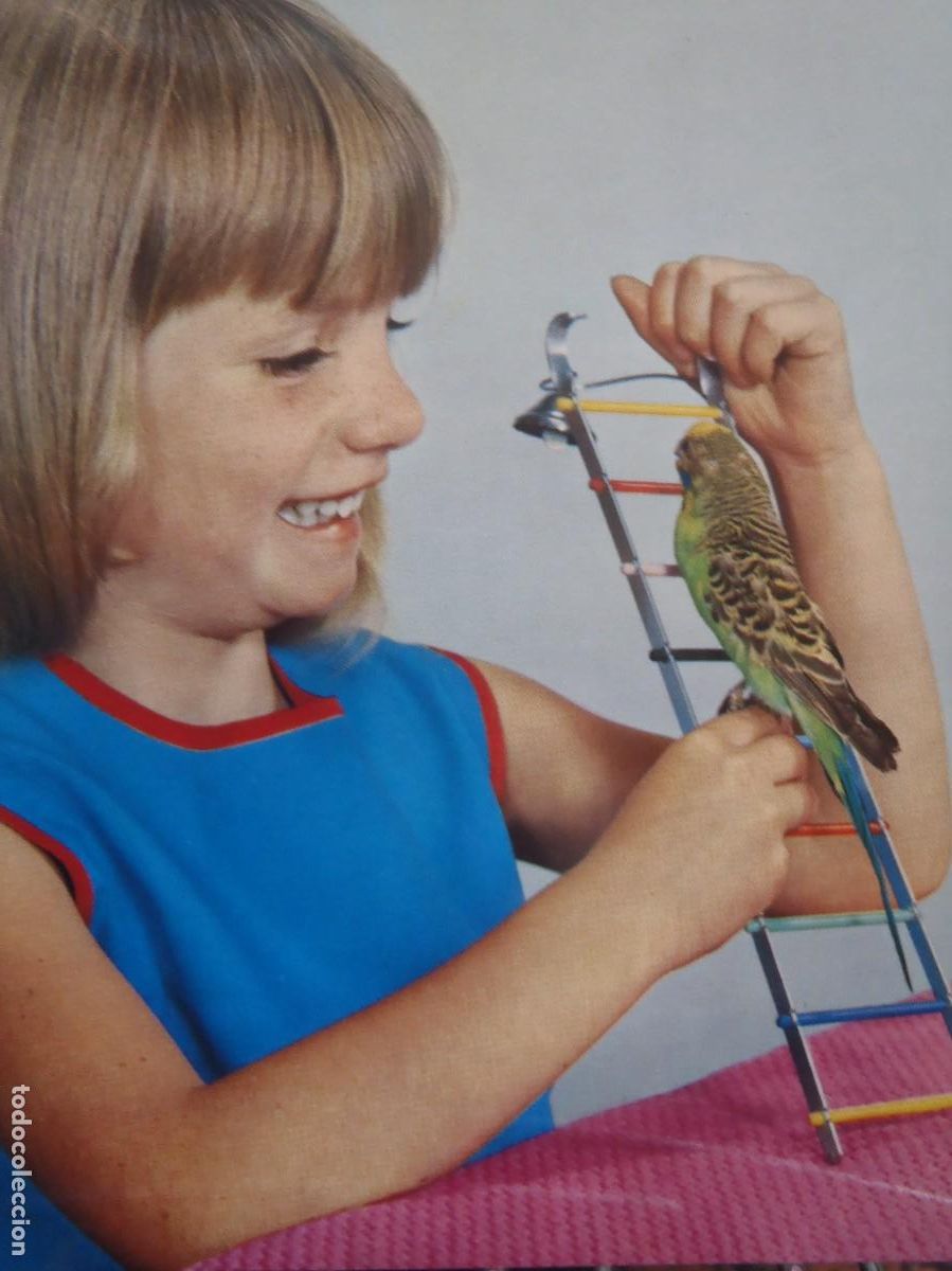 Postales: NI&Ntilde;A CON PERIQUITO - Foto 1