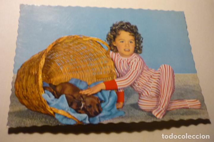 Postales: postal ni&ntilde;a con perro c y z 6287 - Foto 1