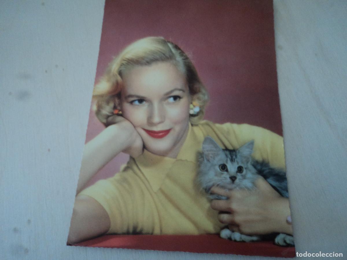 Postales: ni&ntilde;a con gato, ed. dd3, circulada - Foto 1