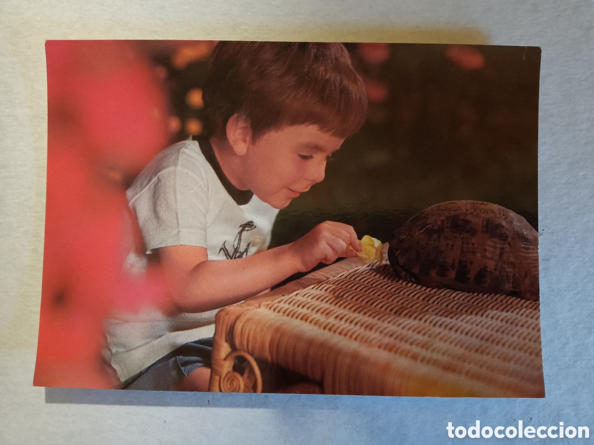 Postales: POSTAL VINTAGE NI&Ntilde;O - Foto 1