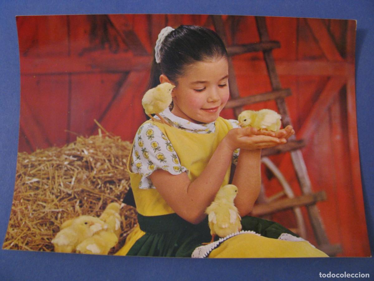 Postales: POSTAL DE ED. C. Y Z. 6805. SIN ESCRIBIR. - Foto 1
