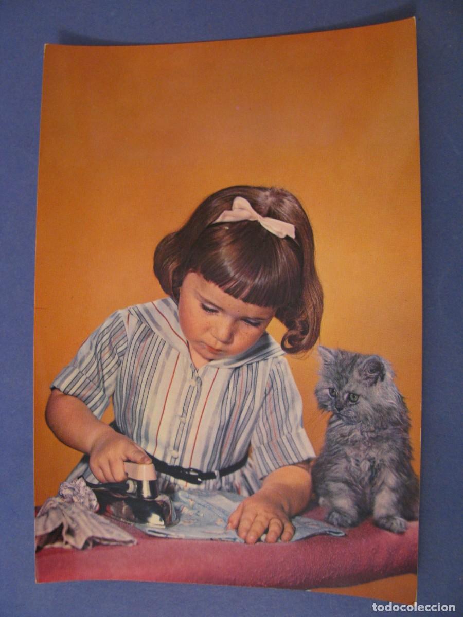 Postales: POSTAL DE ED. C. Y Z. 6688. SIN ESCRIBIR. - Foto 1