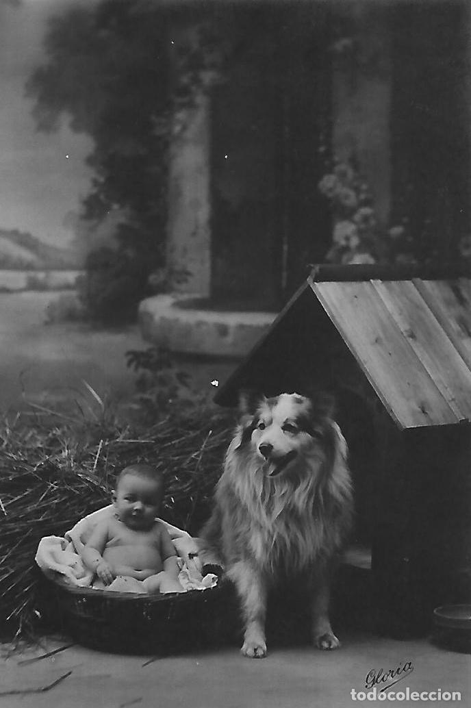 Postales: ANTIGUA POSTAL NI&Ntilde;O CON PERRO (1918) - Foto 1