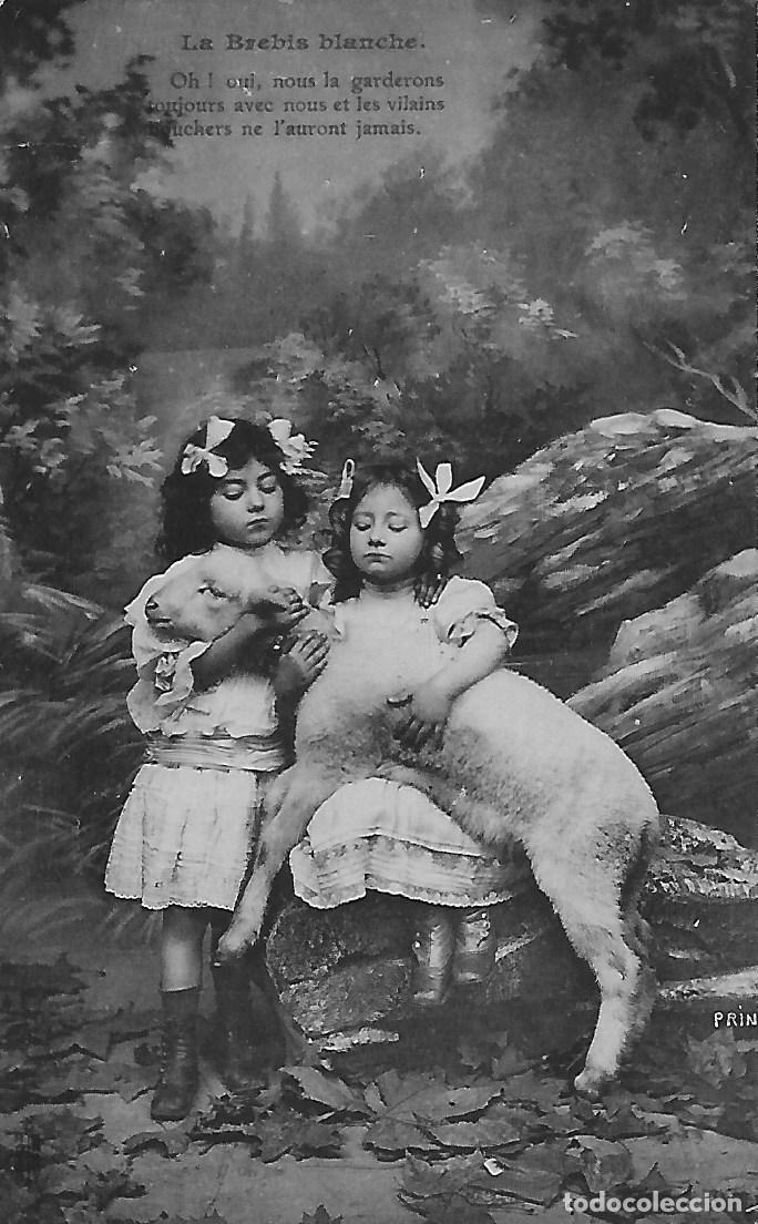 Postales: ANTIGUA POSTAL NI&Ntilde;AS CON CORDERO (1907) - Foto 1