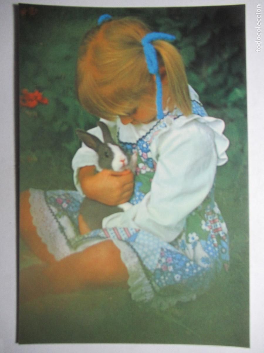 Postales: Ni&ntilde;a y conejo en el campo - Foto 1