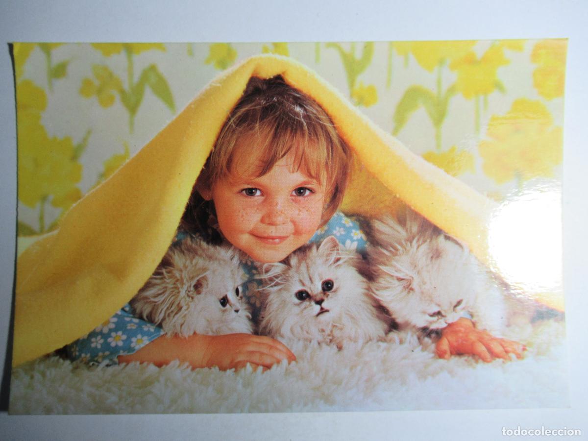 Postales: Postal ni&ntilde;a con gatitos - Foto 1