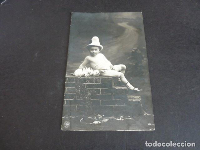 Postales: NI&Ntilde;O CON CONEJOS POSTAL - Foto 1