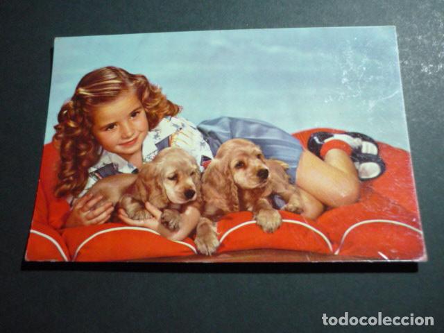 Postales: NI&Ntilde;A CON PERROS POSTAL - Foto 1