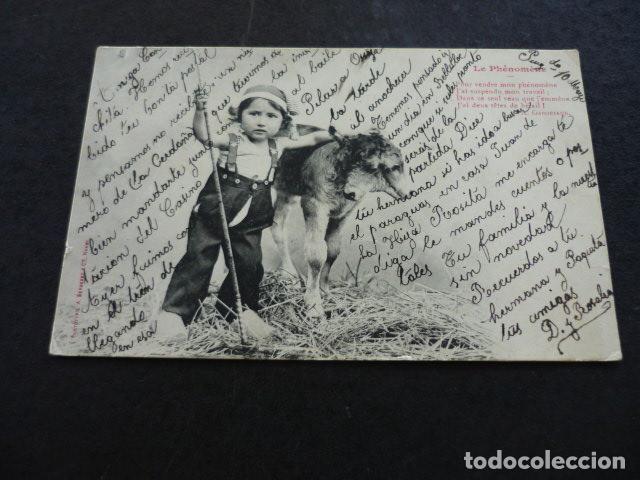 Postales: NI&Ntilde;O CON PERRO POSTAL - Foto 1