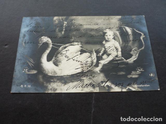 Postales: NI&Ntilde;O CON CISNE POSTAL - Foto 1