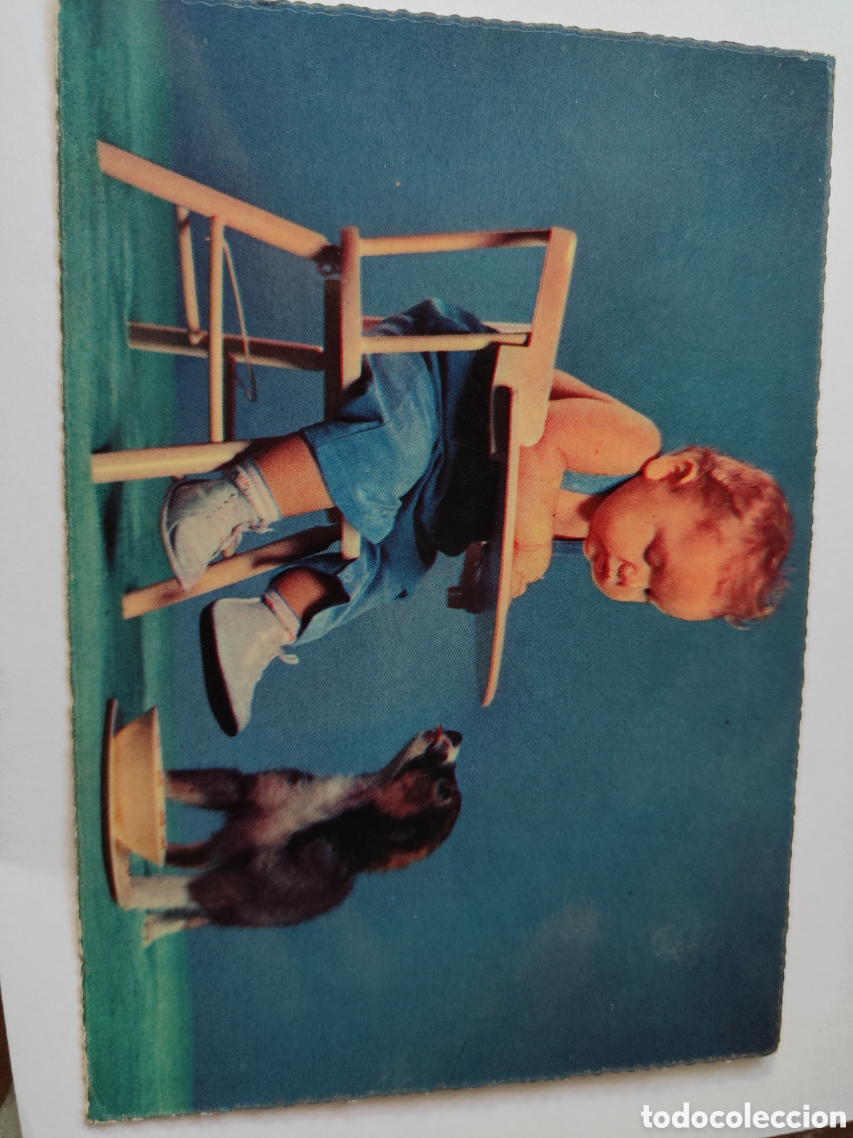 Postales: 5 POSTALES DE NI&Ntilde;OS CON ANIMALES - Foto 3