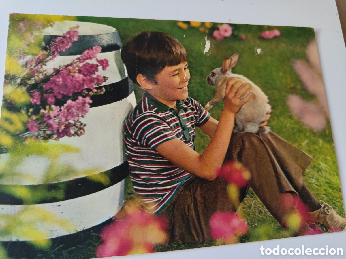 Postales: 5 POSTALES DE NI&Ntilde;OS CON ANIMALES - Foto 5