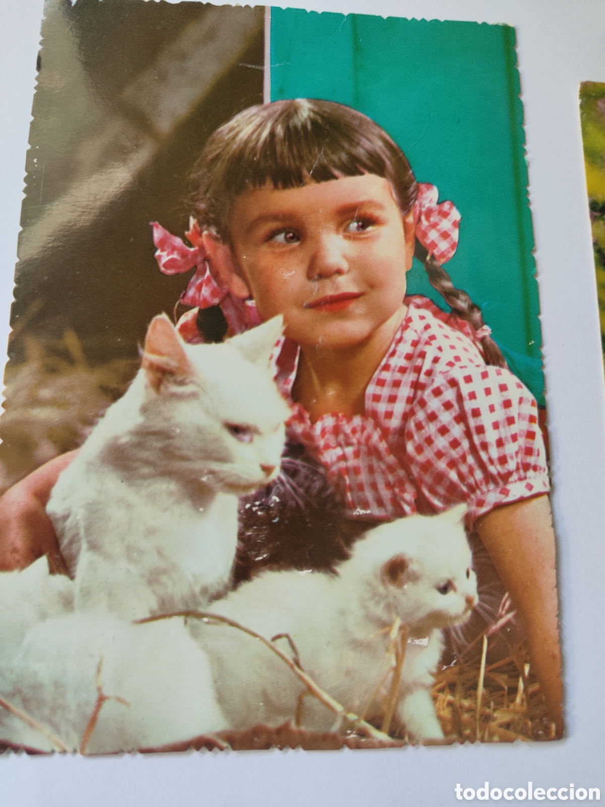 Postales: 5 POSTALES DE NI&Ntilde;OS CON ANIMALES - Foto 6