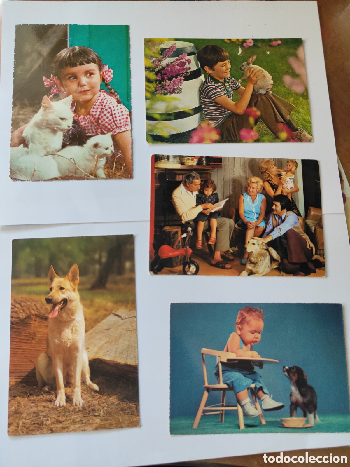 Postales: 5 POSTALES DE NI&Ntilde;OS CON ANIMALES - Foto 1