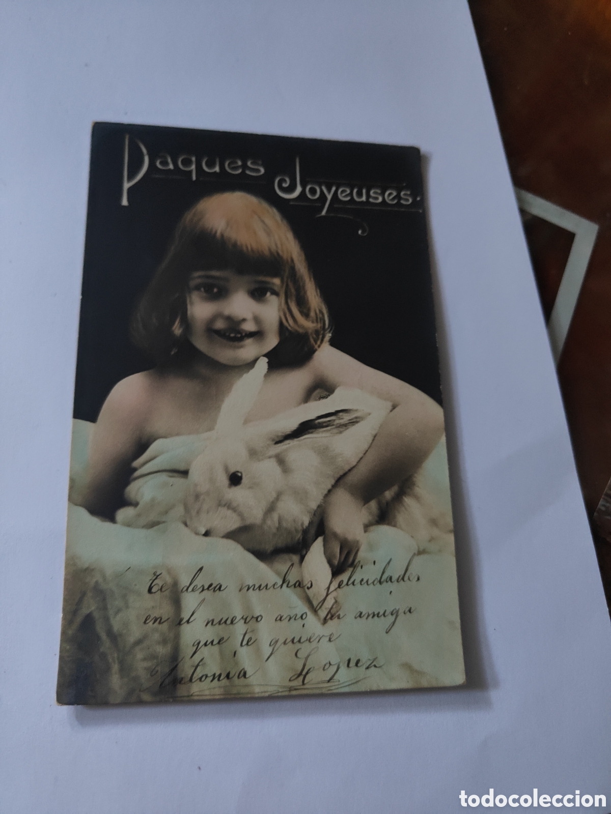 Postales: 3 POSTALES DE NI&Ntilde;OS CON ANIMALES - Foto 2
