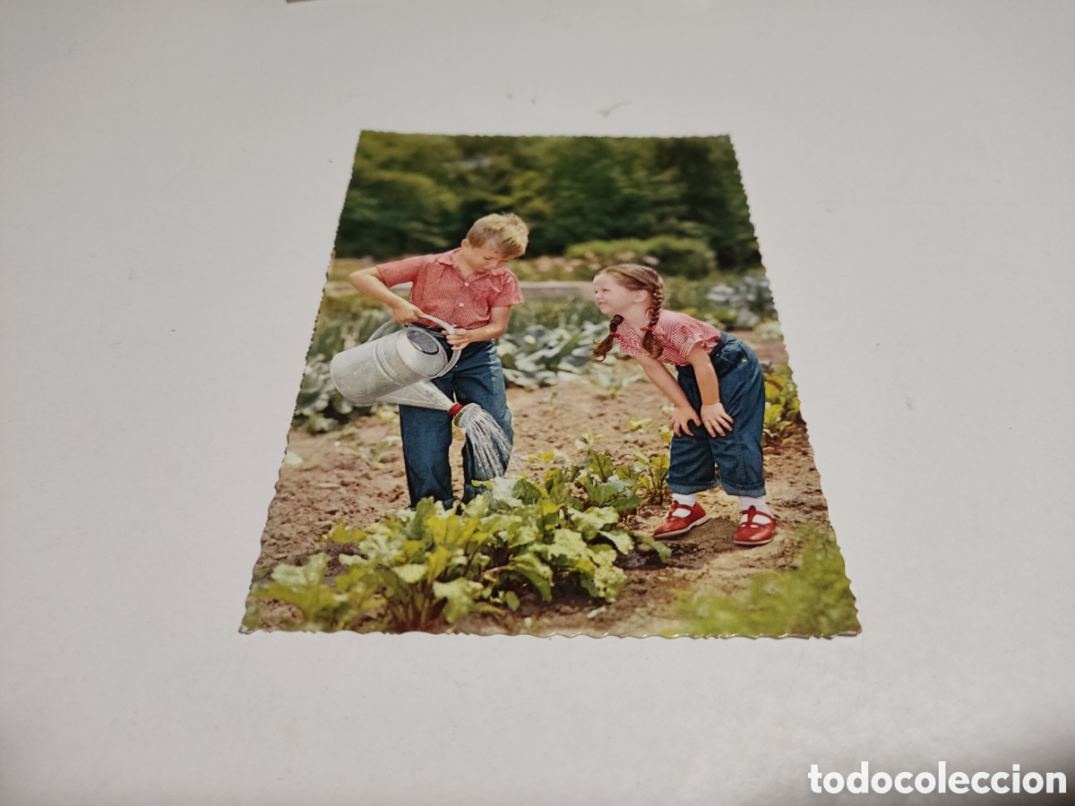 Postales: Postal ni&ntilde;os regando la huerta - Foto 1