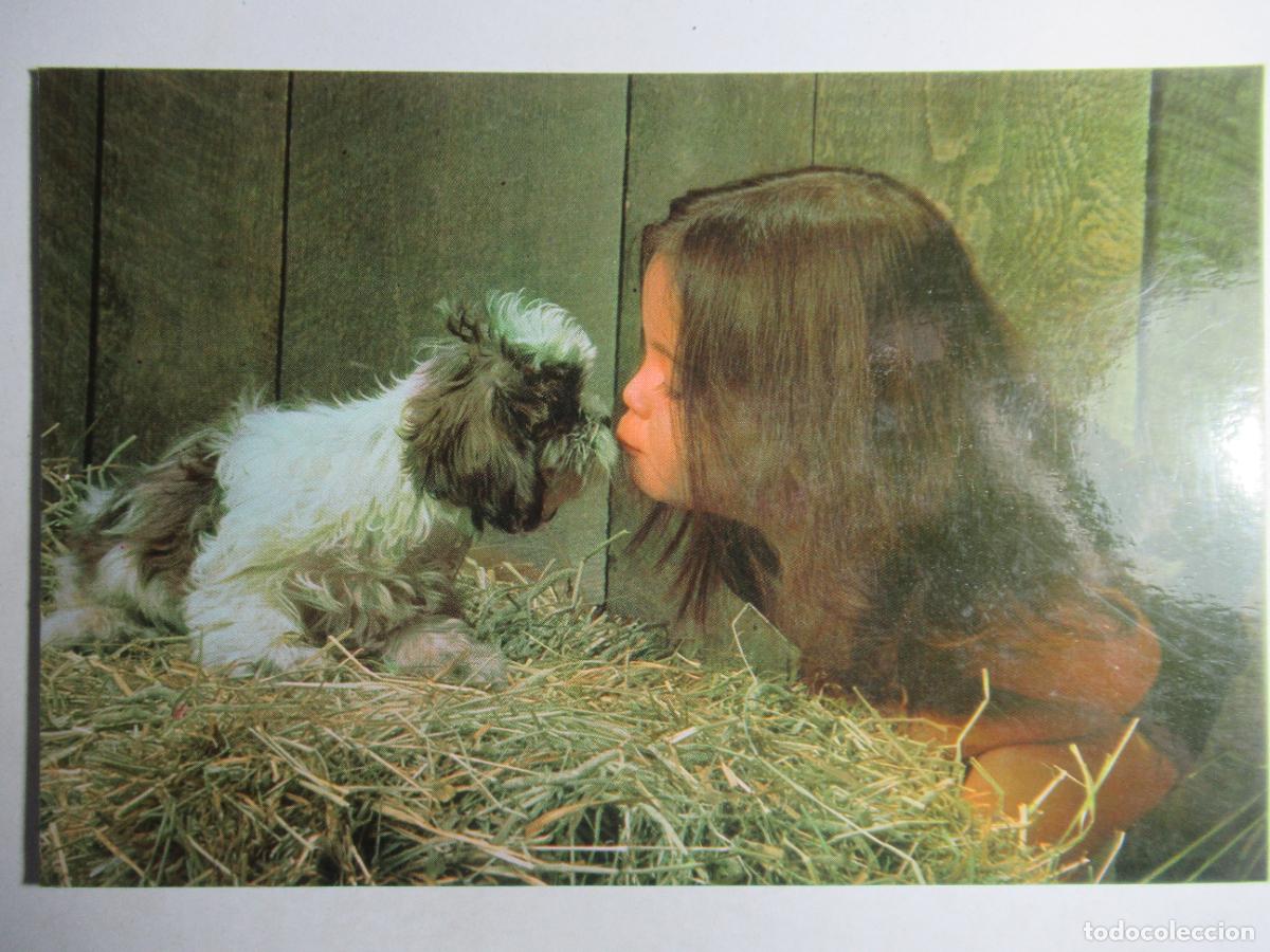 Postales: Postal ni&ntilde;a con perrito - Foto 1