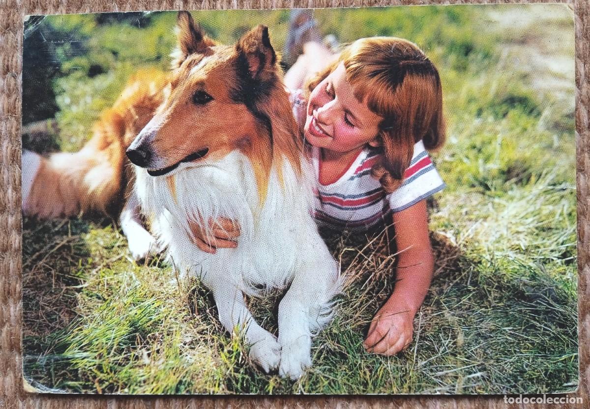 Postales: NI&Ntilde;A CON PERRO....... - Foto 1