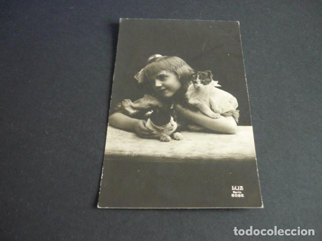 Postales: NI&Ntilde;A CON GATOS POSTAL - Foto 1