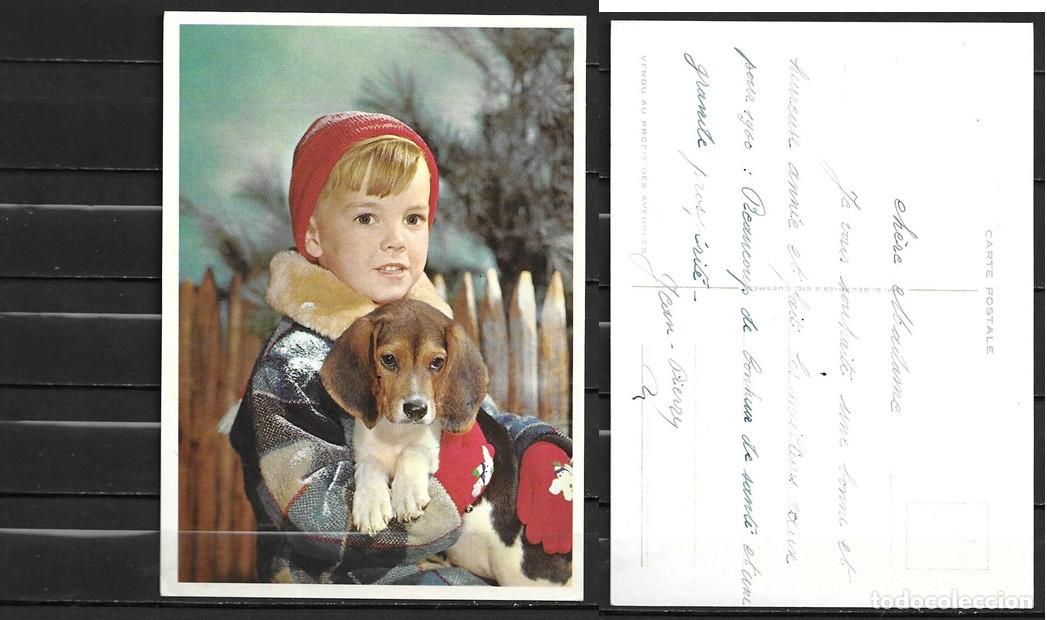 Postcards: Tarjeta postal, Ni&ntilde;o con perro, Francia, a&ntilde;os 60, color, circulada