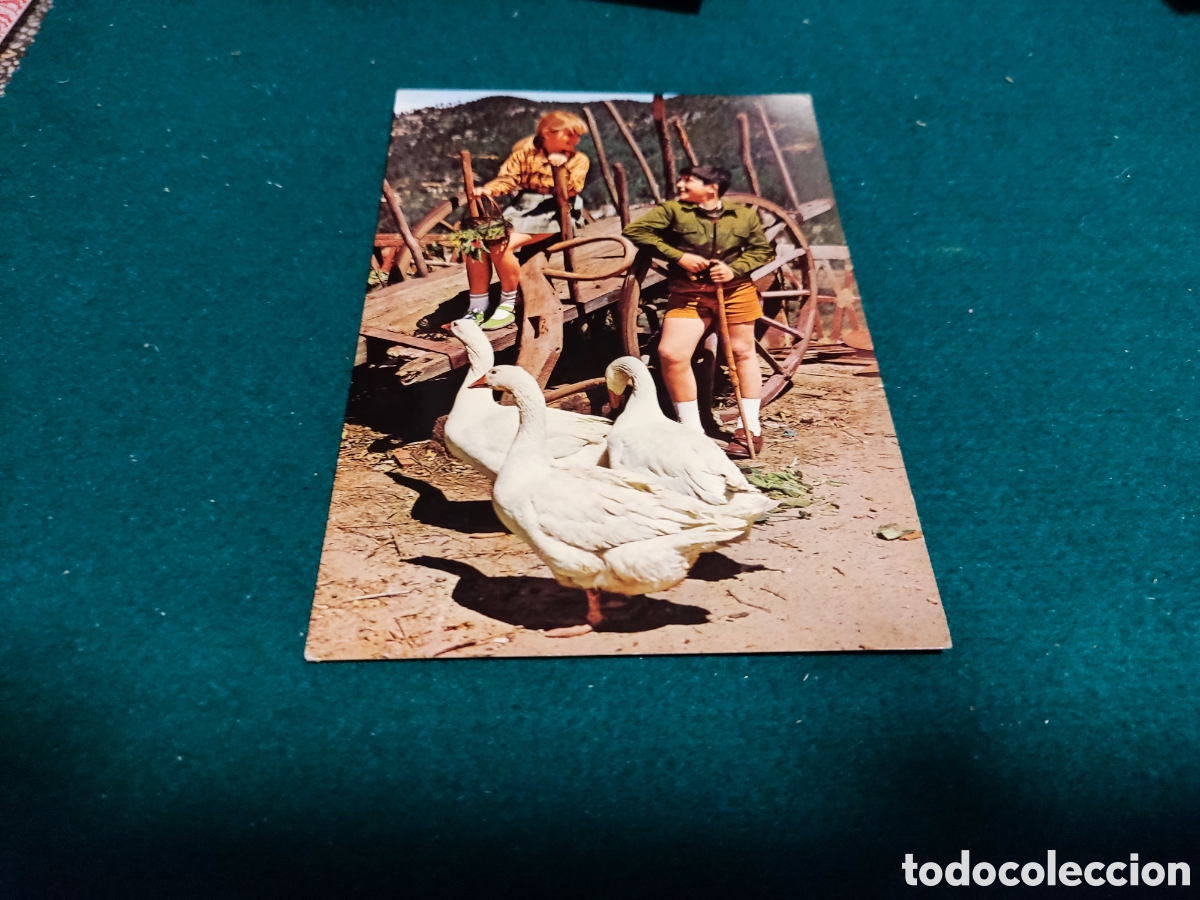 Postais: Postal ni&ntilde;os patos....