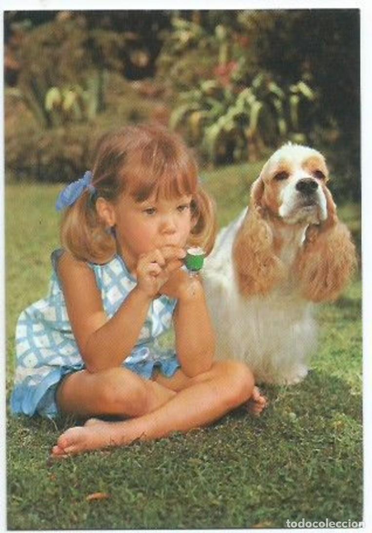 Postales: NI&Ntilde;A Y PERRO EN EL JARDIN - Foto 1