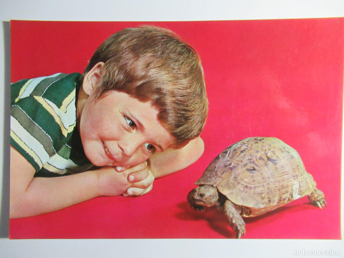 Postales: Postal ni&ntilde;o y tortuga - Foto 1