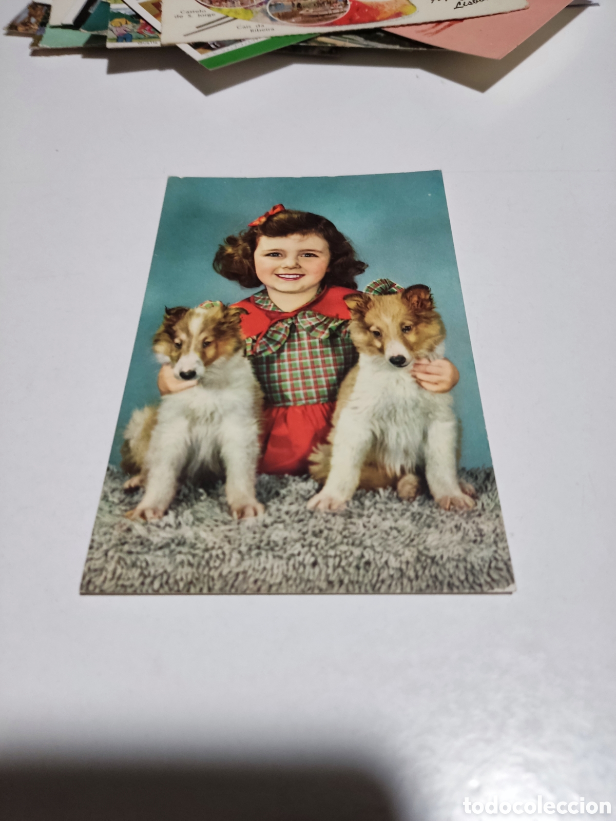 Postcards: Postal antigua ni&ntilde;a perros