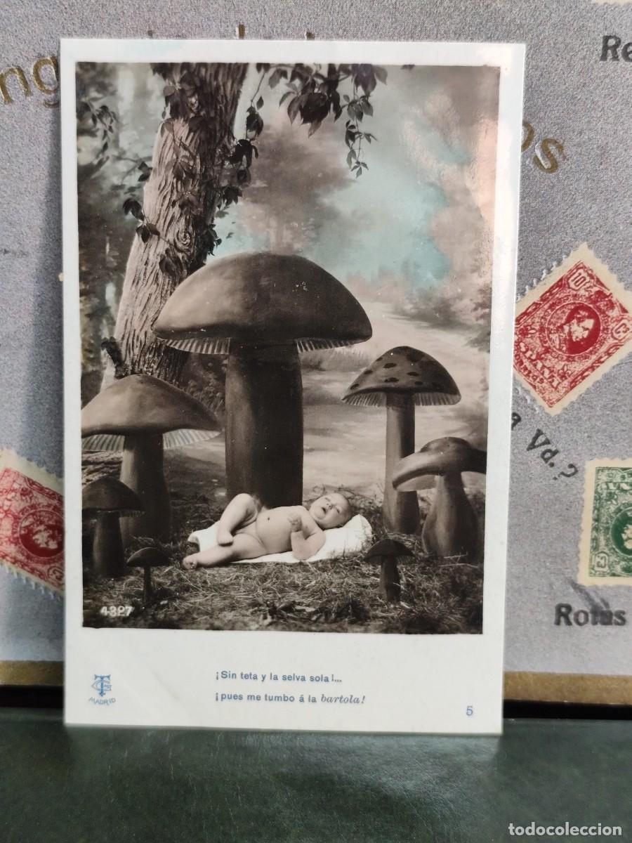 Postcards: PA 246 Postal 4327 Sin teta y la selva sola...Fechada en 1910