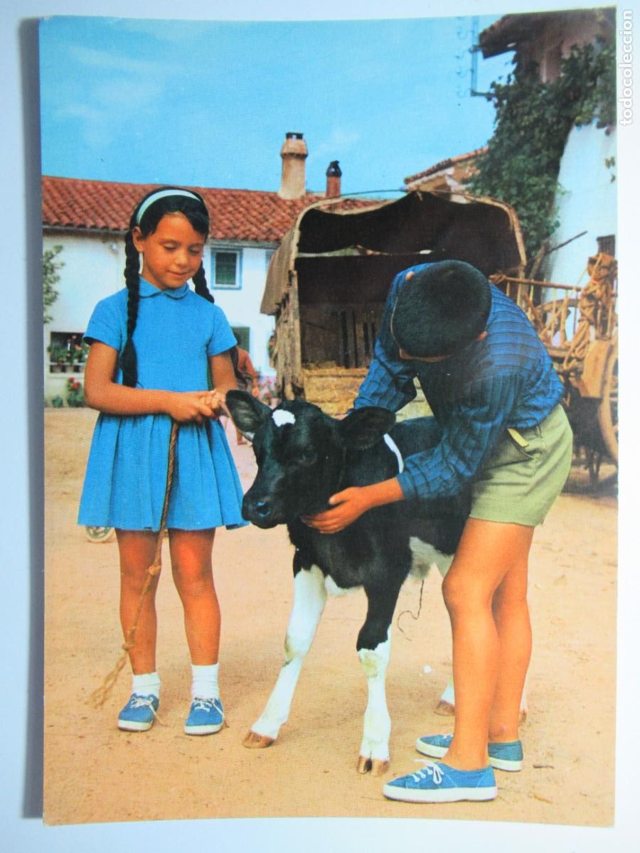 Postales: Postal Ni&ntilde;os con vaquilla - Foto 1
