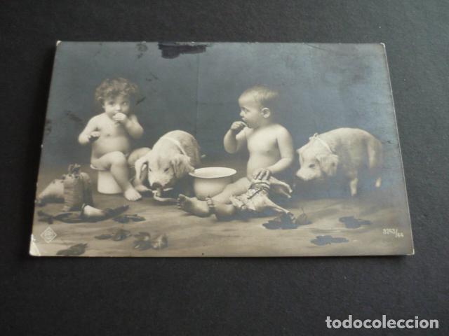 Postales: NI&Ntilde;OS CON CERDITOS POSTAL - Foto 1