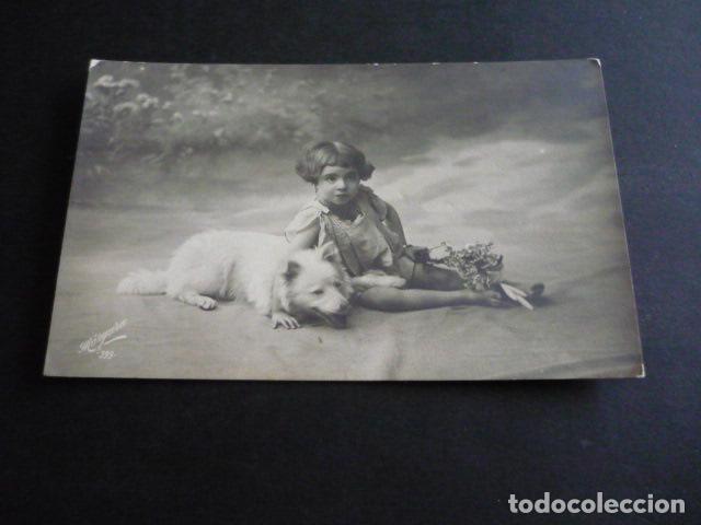 Postales: NI&Ntilde;A CON PERRO POSTAL - Foto 1