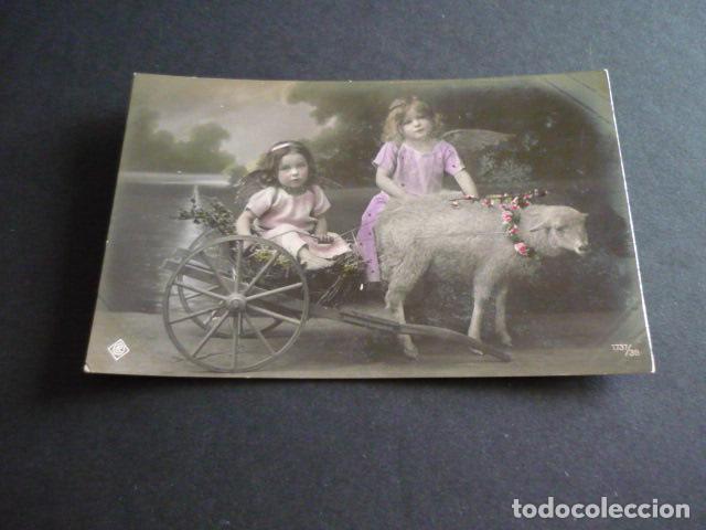 Postales: NI&Ntilde;AS CON OVEJA POSTAL - Foto 1
