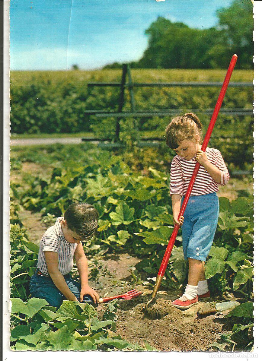 Postales: POSTAL NI&Ntilde;OS EN EL CAMPO - EDIC. CECAMI - Foto 1
