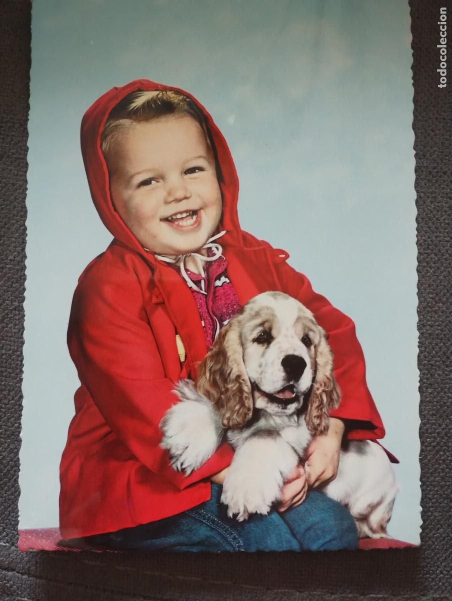 Postales: Postal ni&ntilde;o con perro. C y Z. 6574 - Foto 1