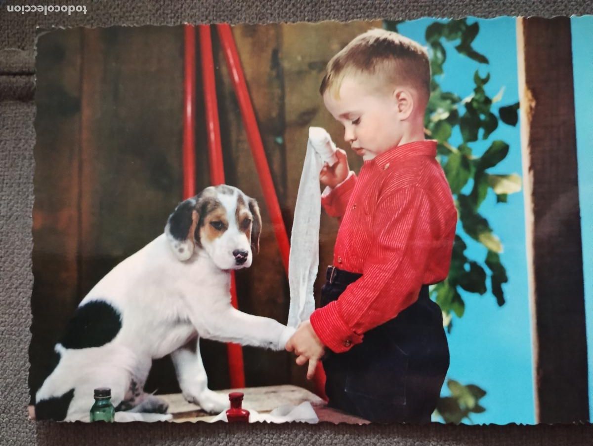 Postales: Postal ni&ntilde;o con perro. C y Z. 6577 - Foto 1