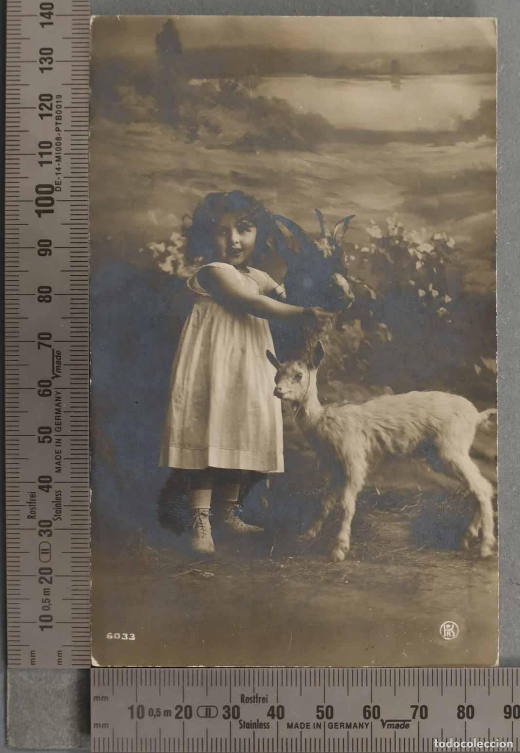 Postales: POSTAL. NI&Ntilde;A CON CORDERO Y CABRA - Foto 1