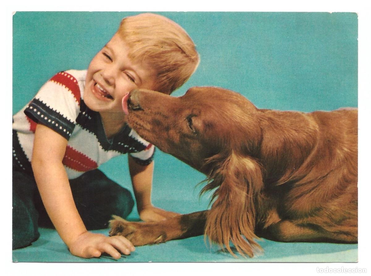 Postales: Ni&ntilde;o con su mascota. - Foto 1