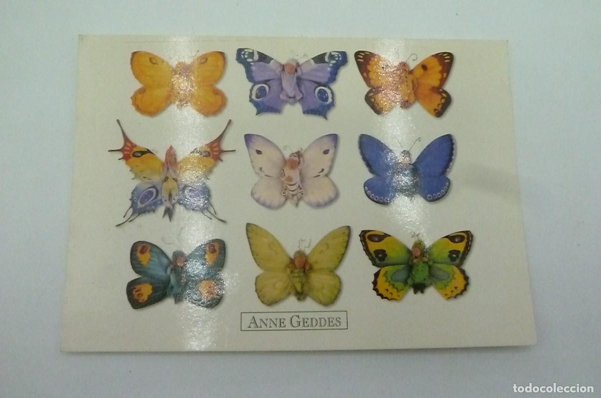 Postales: Postal Anne Geddes 2478 - Foto 1