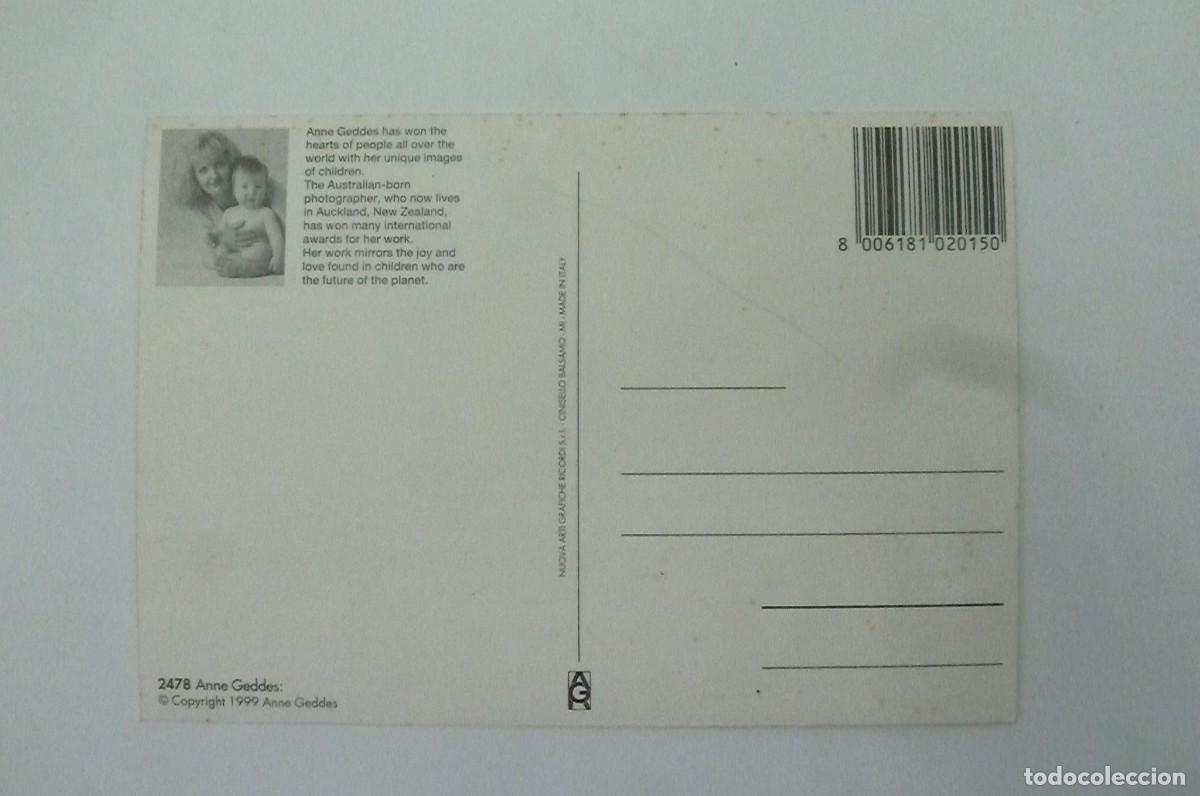 Postales: Postal Anne Geddes 2478 - Foto 2